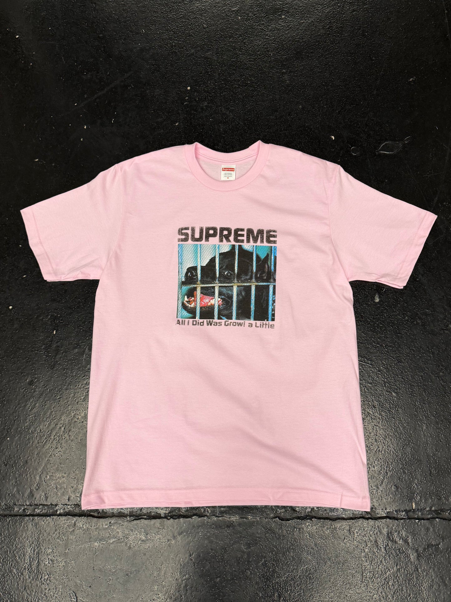 SUPREME PINK GROWL TEE (BRAND NEW)