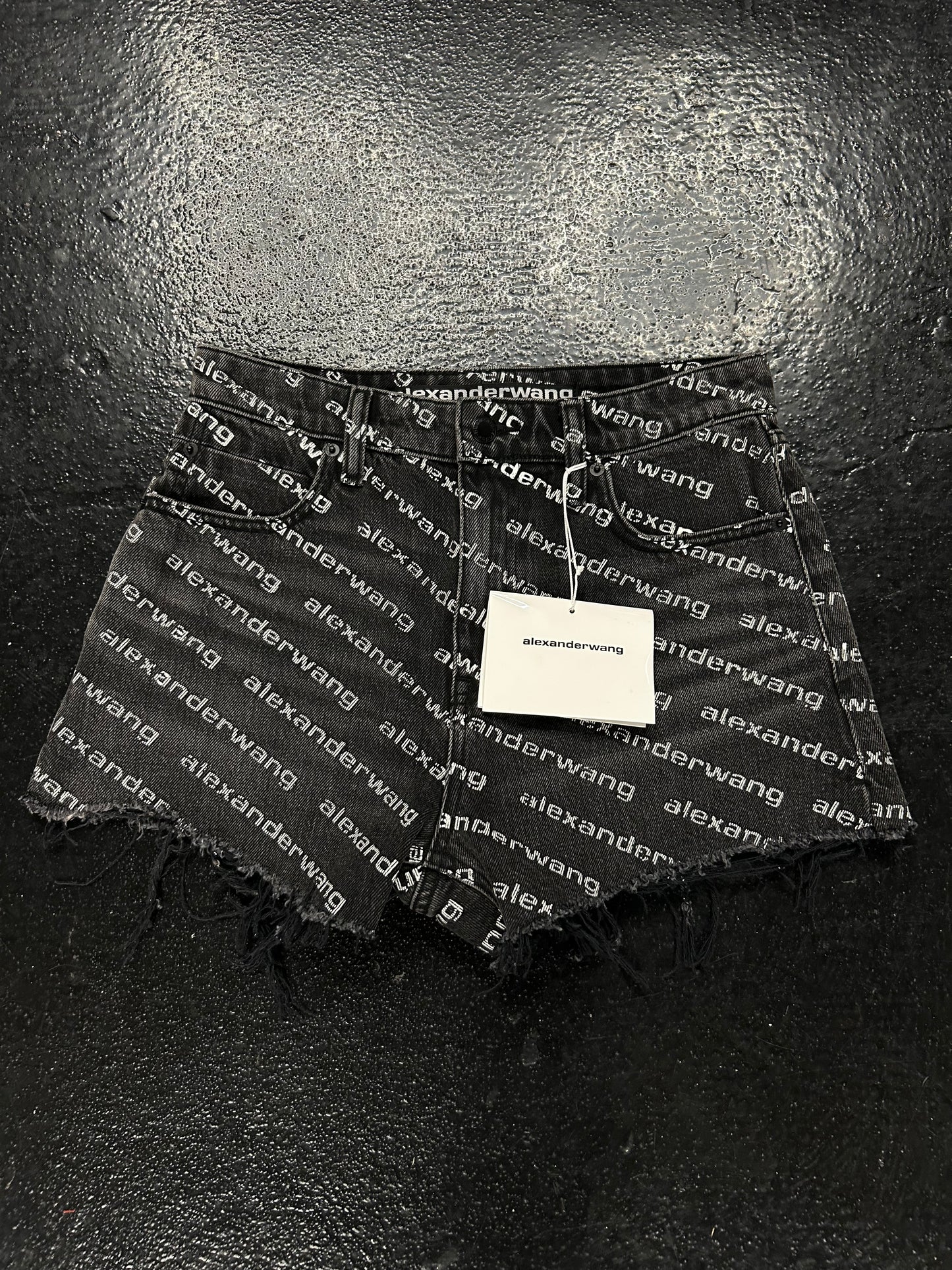 ALEXANDER WANG WOMENS SHORTS (BRAND NEW) (SIZE 26)