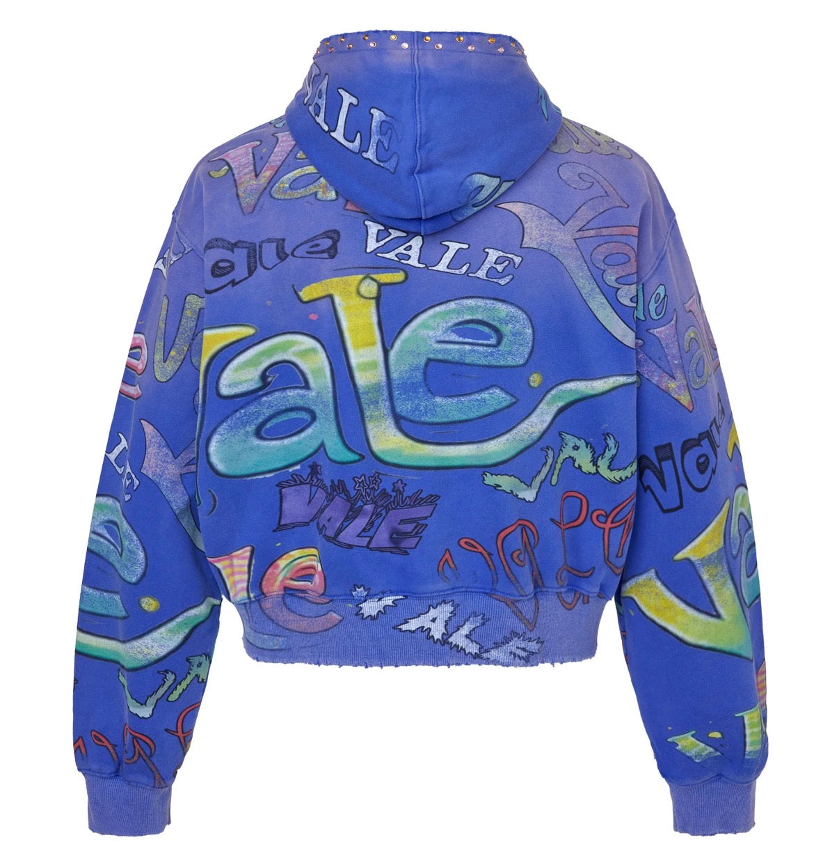 VALE ICEBERG ZIP-UP (BRAND NEW)