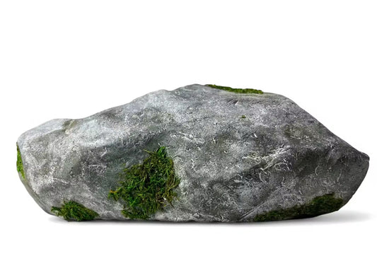 BRAVEST STUDIOS ROCK SHOE (BRAND NEW)