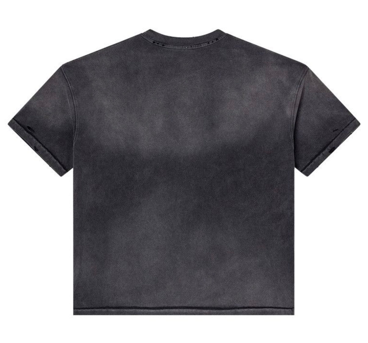 VALE FOREVER OLYMPIA TEE (BRAND NEW)