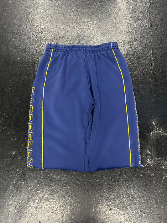 RASPBERRY HILLS BLUE SWEAT SHORTS (PRE-OWNED)