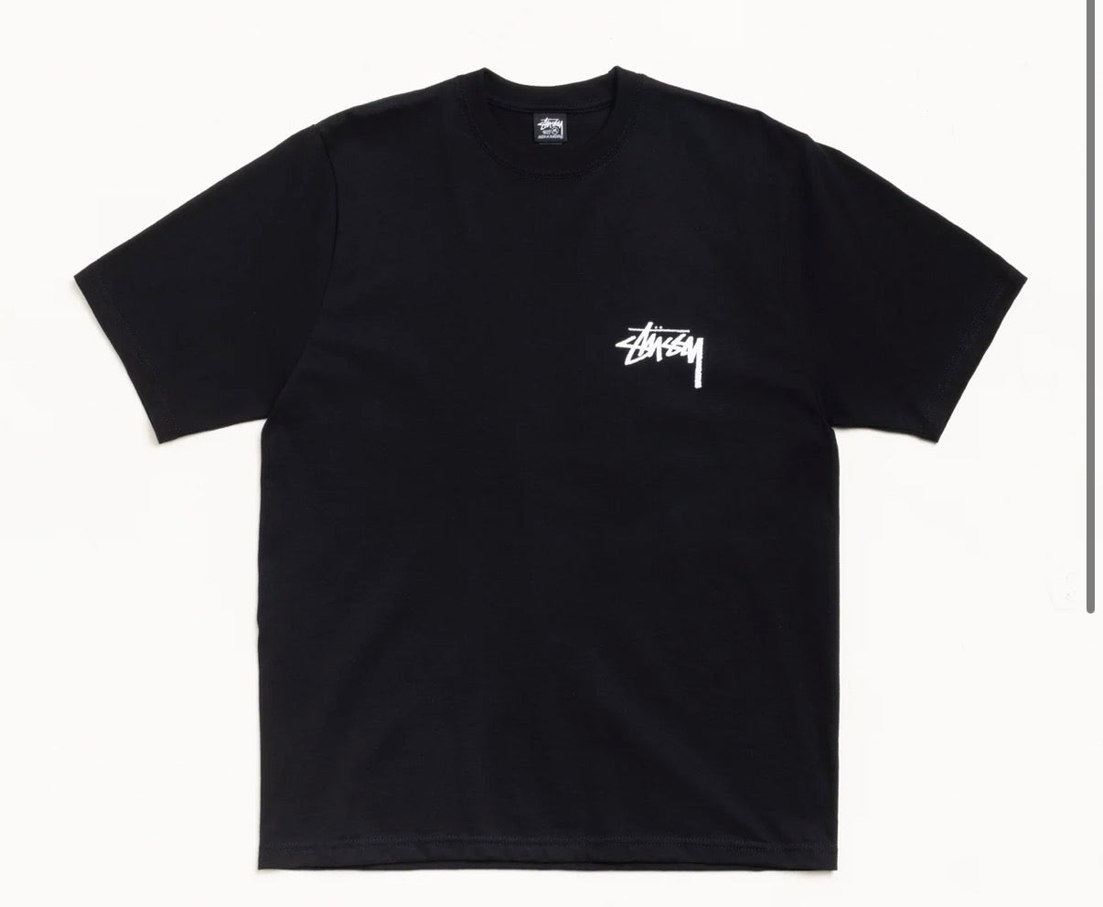 STUSSY VICTORIA TEE (BRAND NEW)