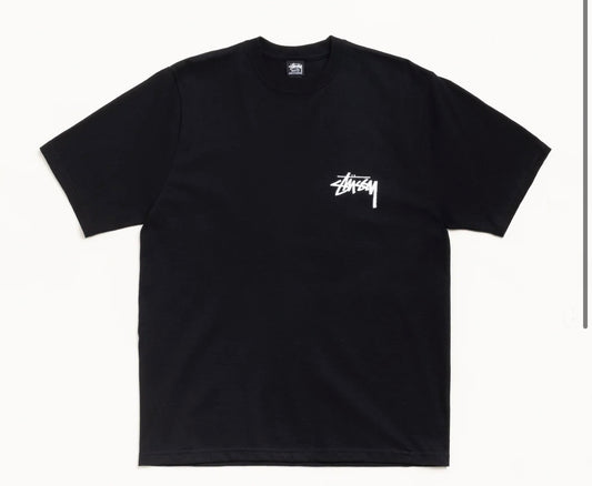 STUSSY VICTORIA TEE (BRAND NEW)