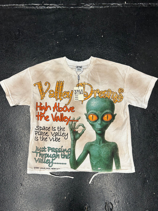 VALE VALLEY DREAMS AILIEN THRASHED TEE (BRAND NEW)