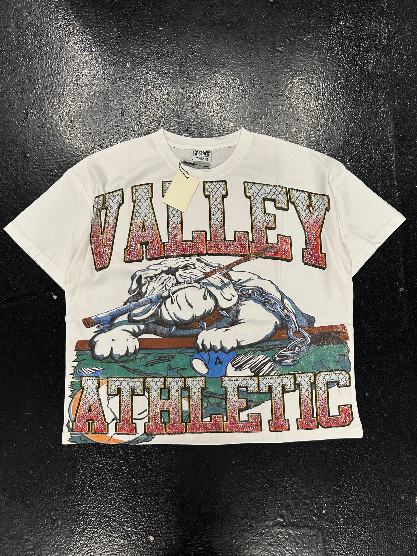 VALE VALLEY ATHLETICS DOG POOL TEE (BRAND NEW)