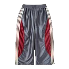 RASPBERRY HILLS TRACY MCGRADY PANTS (BRAND NEW)