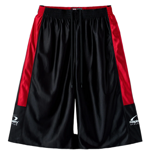 RASPBERRY HILLS TJ FORD BASKETBALL SHORTS (BRAND NEW)